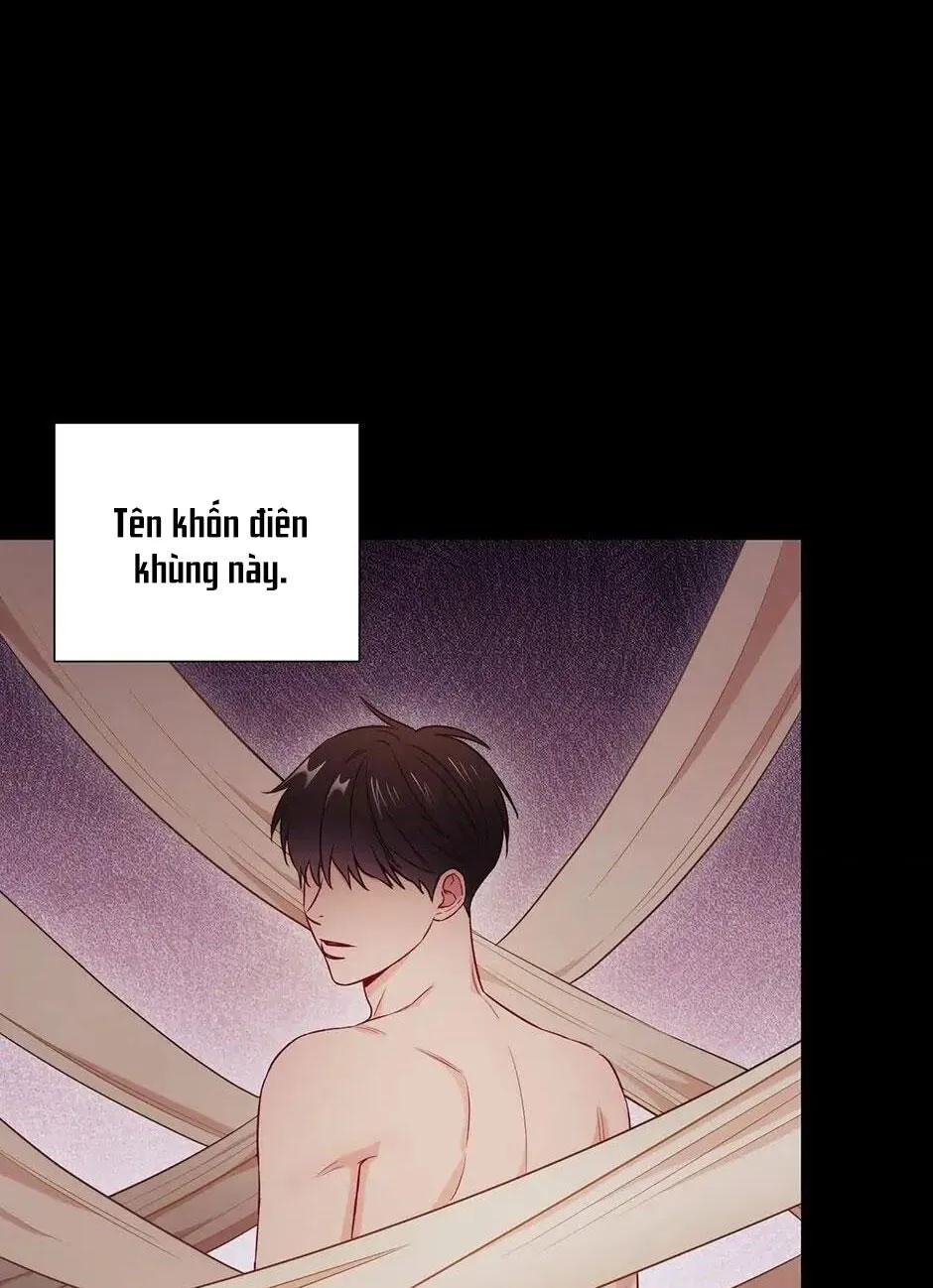 Tình anh em xã hội chủ nghĩa Chapter 27 Trang 27