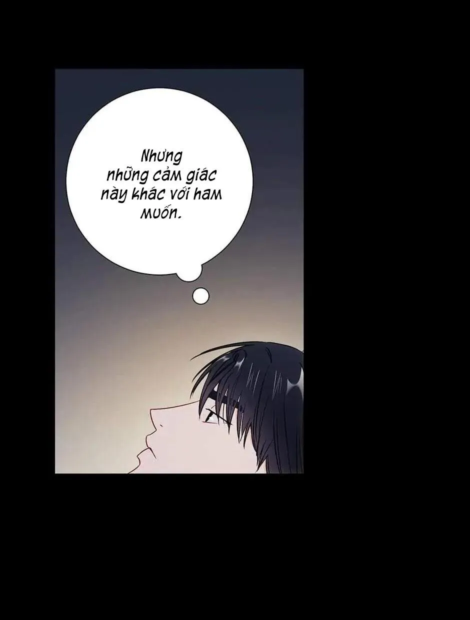 Tình anh em xã hội chủ nghĩa Chapter 27 Trang 31