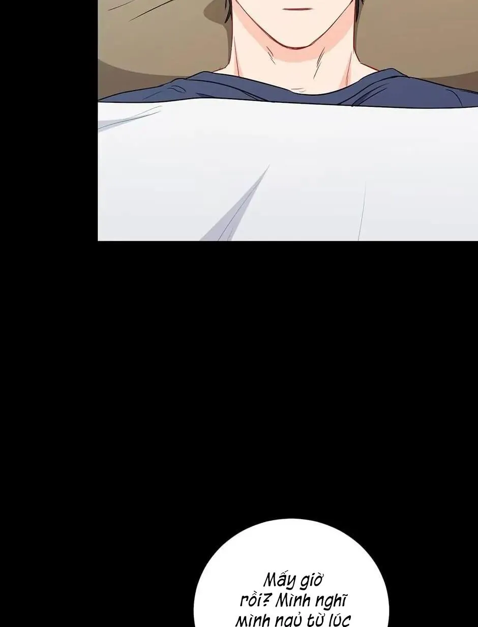 Tình anh em xã hội chủ nghĩa Chapter 27 Trang 47