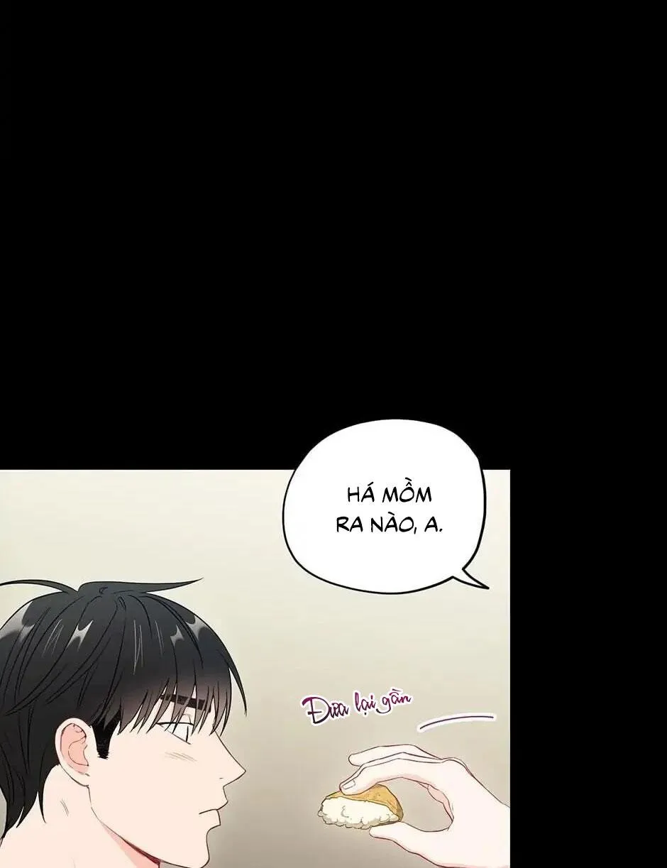 Tình anh em xã hội chủ nghĩa Chapter 27 Trang 57