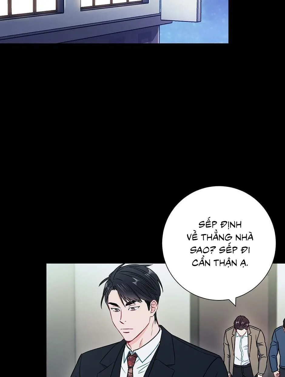 Tình anh em xã hội chủ nghĩa Chapter 28 Trang 5