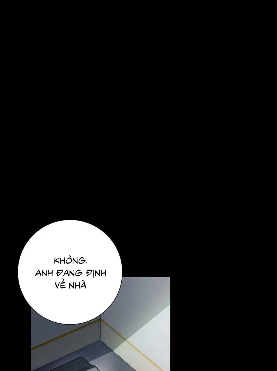 Tình anh em xã hội chủ nghĩa Chapter 28 Trang 15