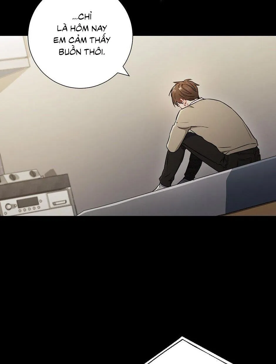 Tình anh em xã hội chủ nghĩa Chapter 28 Trang 17