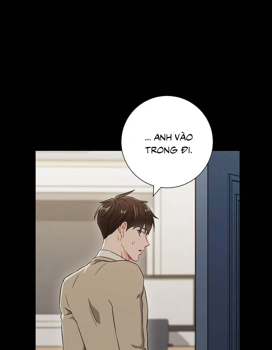 Tình anh em xã hội chủ nghĩa Chapter 28 Trang 42