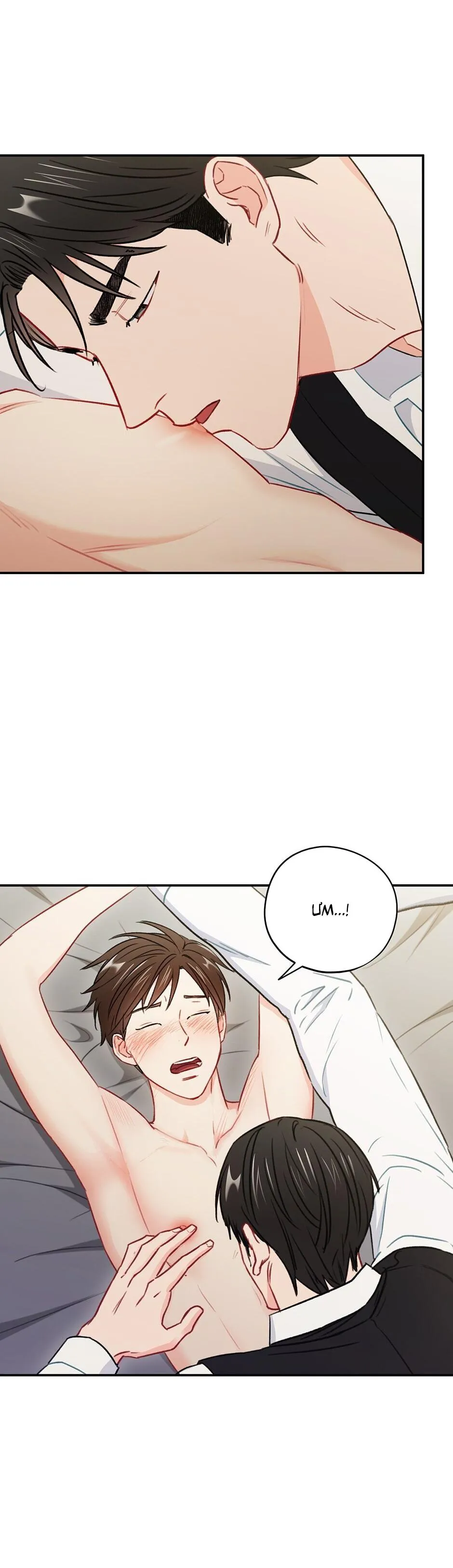 Tình anh em xã hội chủ nghĩa Chapter 32 Trang 25