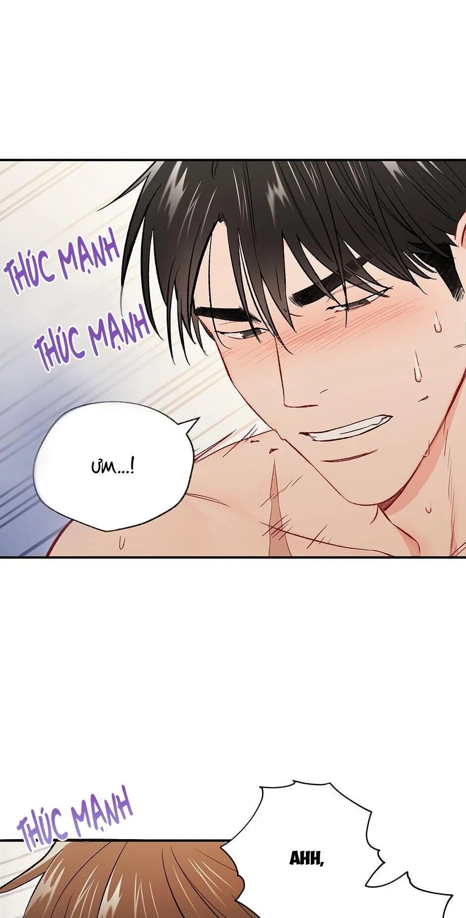 Tình anh em xã hội chủ nghĩa Chapter 35 Trang 29