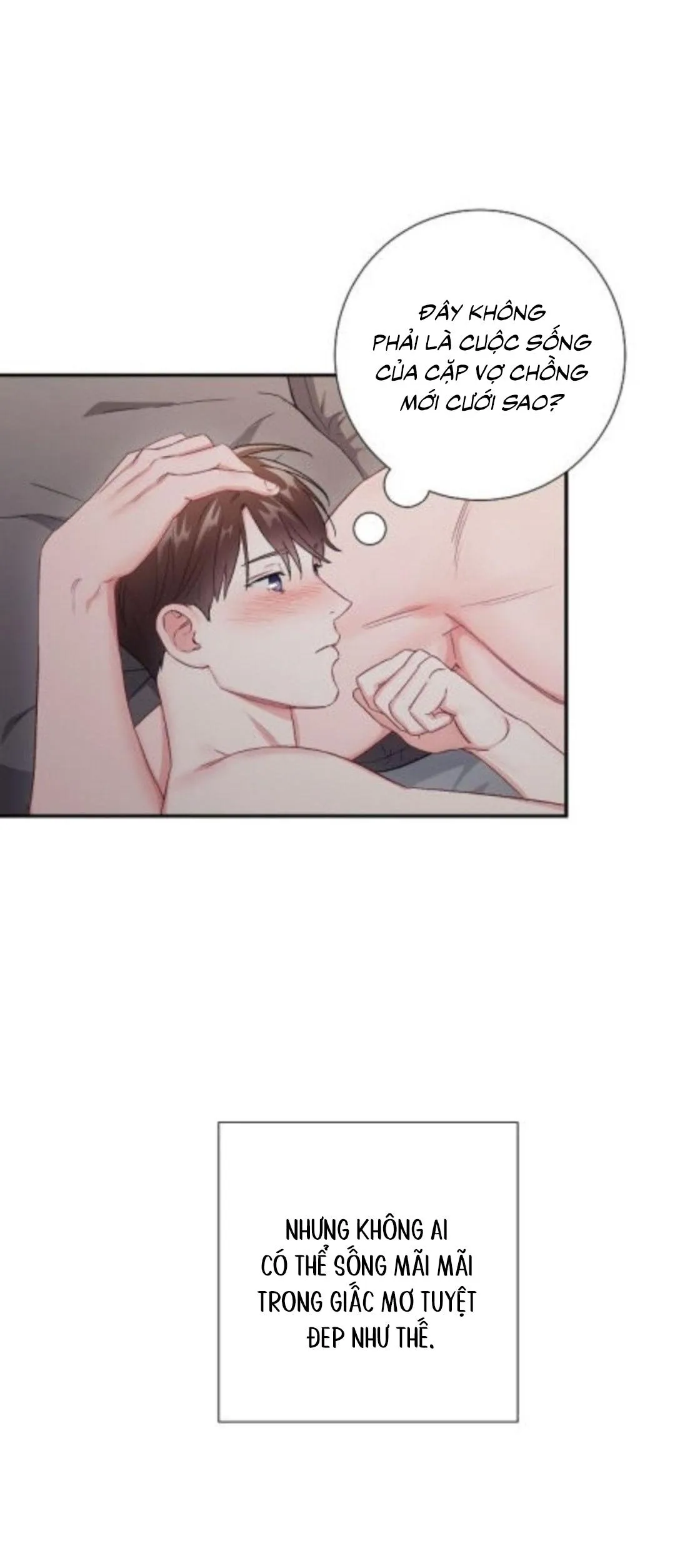 Tình anh em xã hội chủ nghĩa Chapter 44 Trang 17