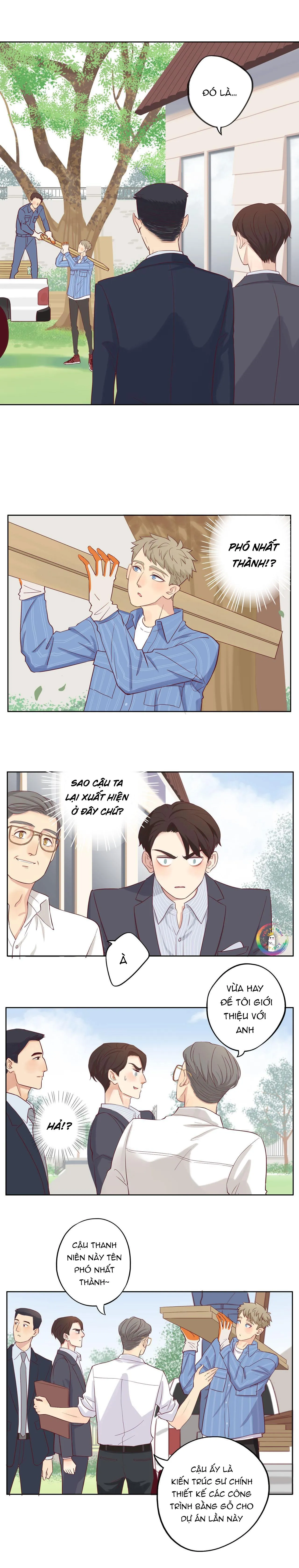 Tình Chàng 30 Chapter 12 Trang 3