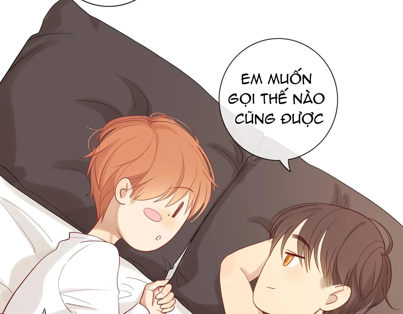 Tình Chàng 30 Chapter 82 Trang 17