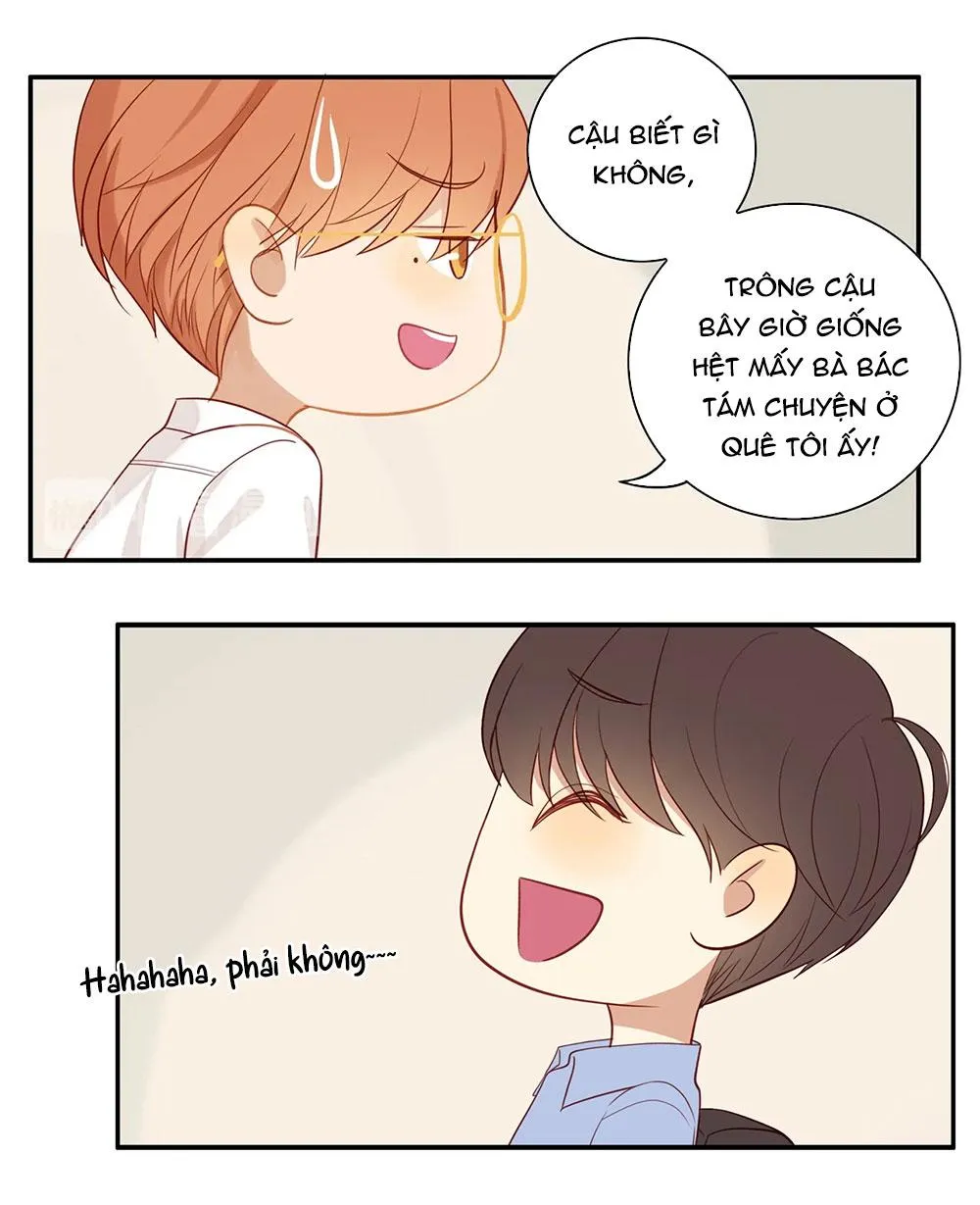 Tình Chàng 30 Chapter 83 Trang 7