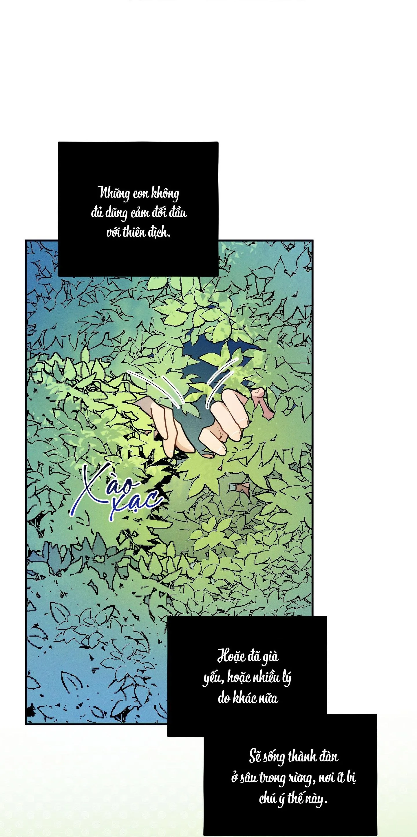 Tình Cờ Thật?! Chapter 7 Trang 19