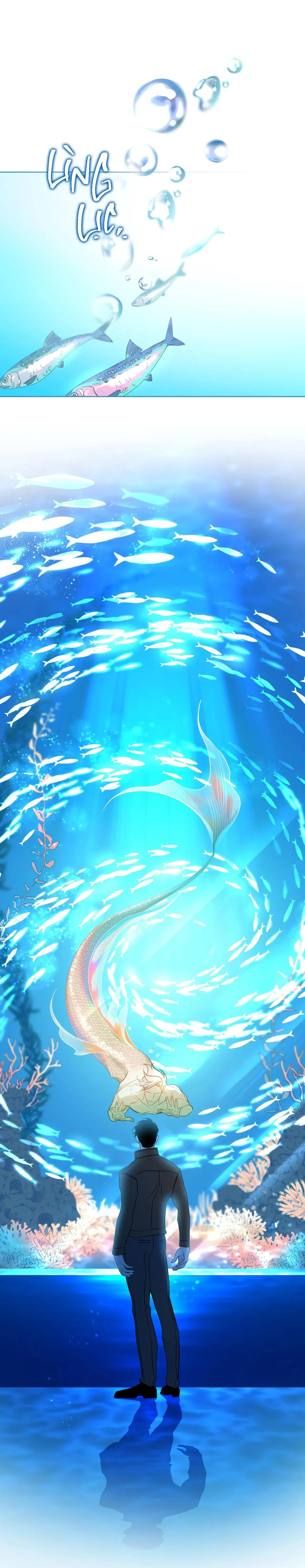 Tình đầu của chủ quán gỏi cá là nhân ngư Chapter 5 Trang 20