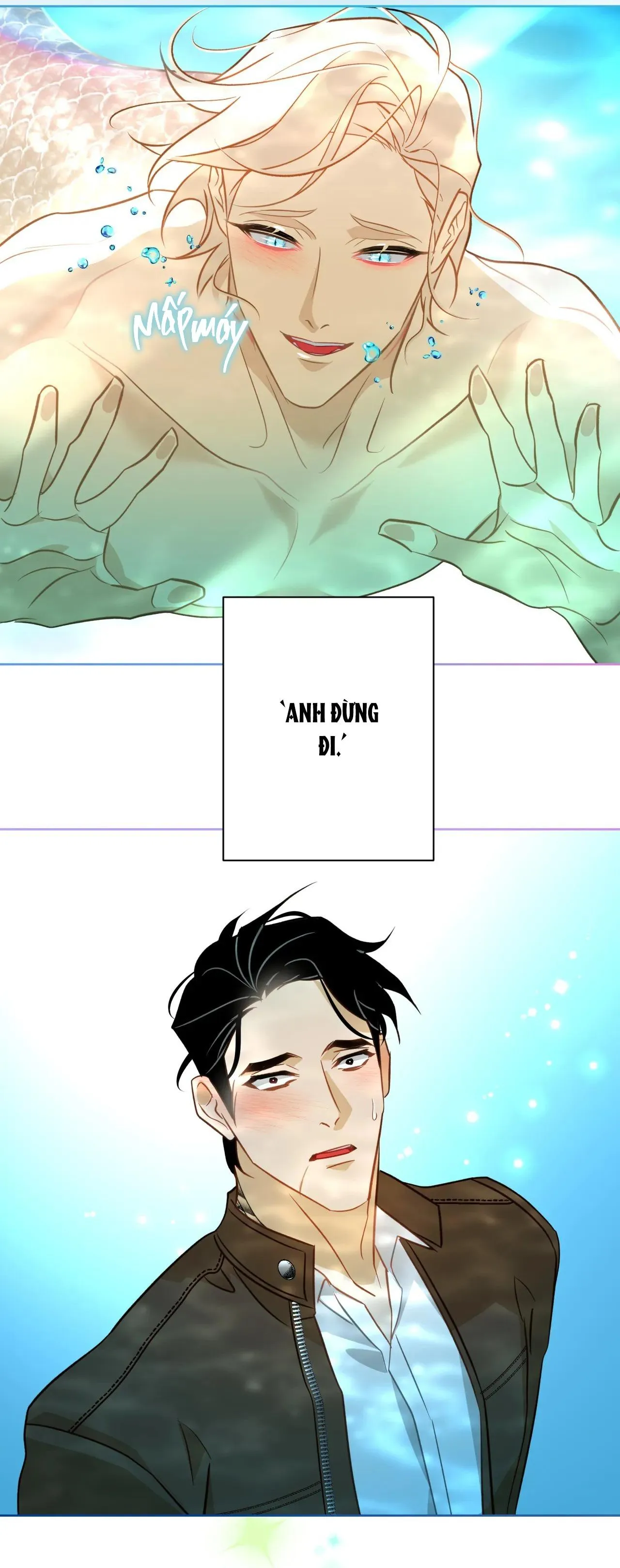 Tình đầu của chủ quán gỏi cá là nhân ngư Chapter 5 Trang 21