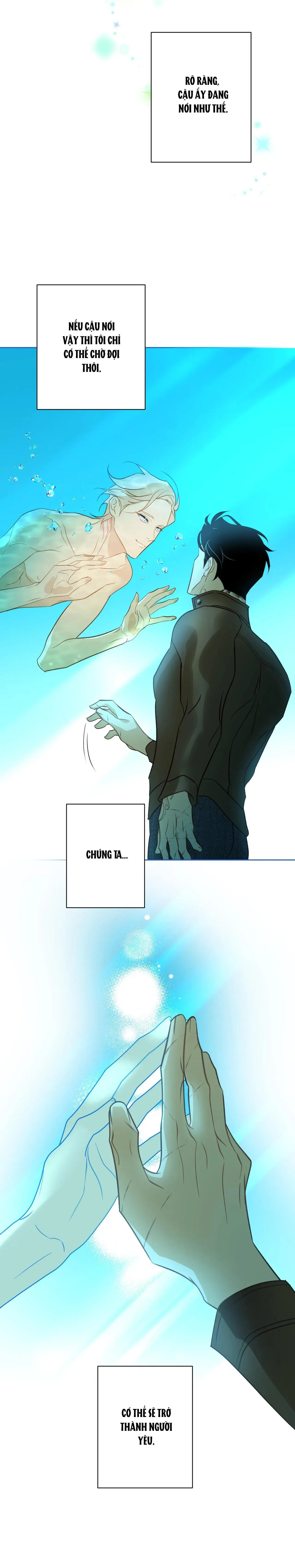 Tình đầu của chủ quán gỏi cá là nhân ngư Chapter 5 Trang 22