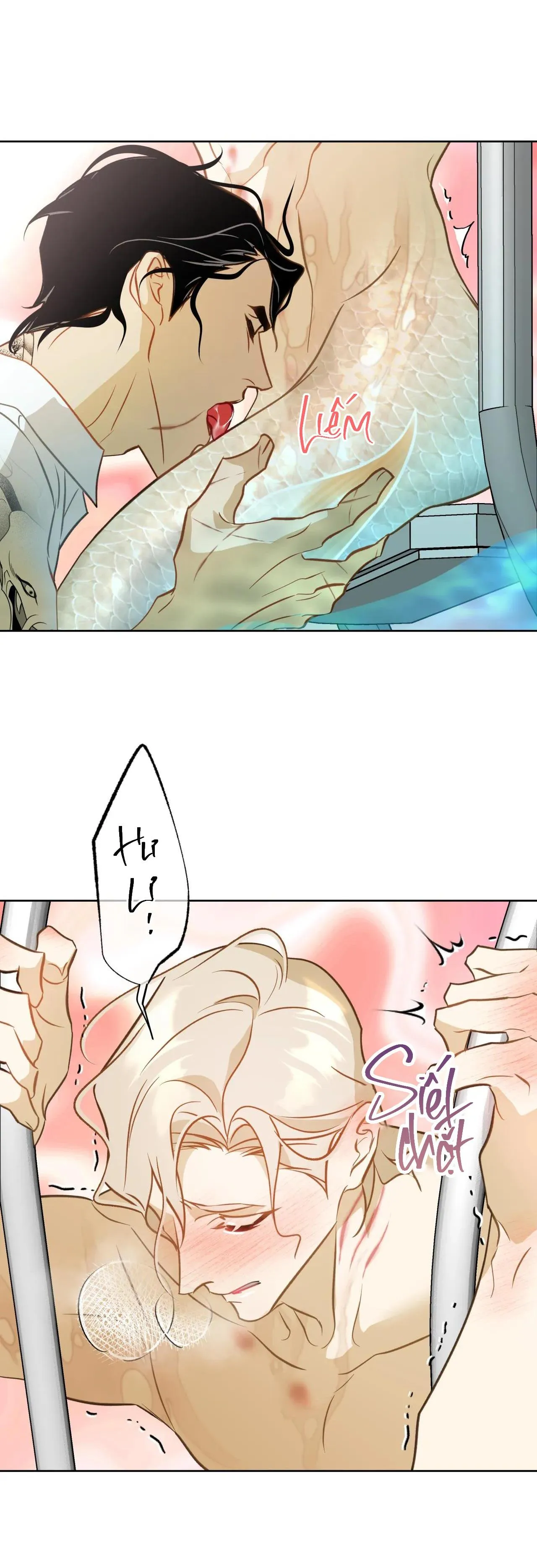 Tình đầu của chủ quán gỏi cá là nhân ngư Chapter 6 Trang 3