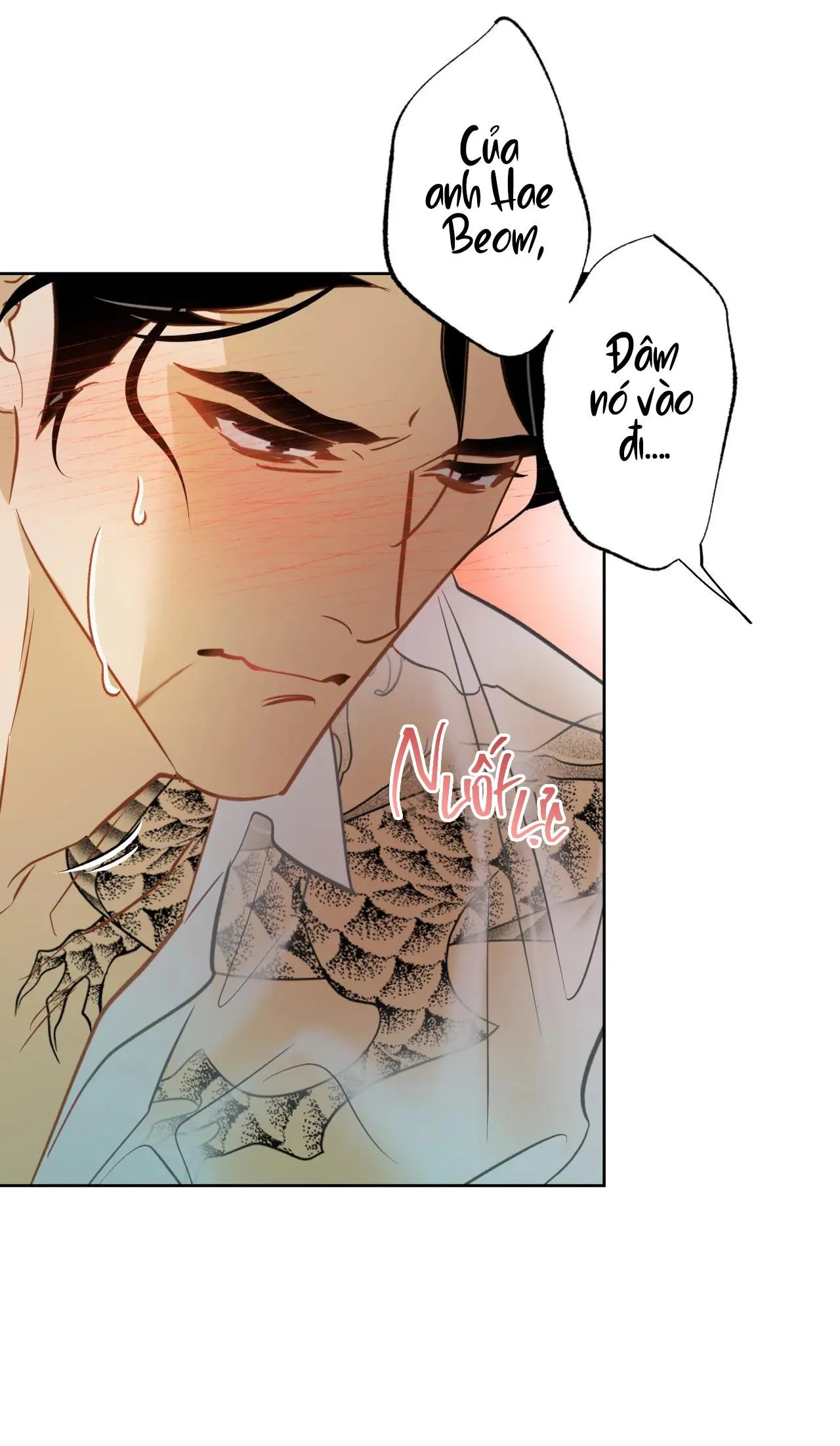 Tình đầu của chủ quán gỏi cá là nhân ngư Chapter 6 Trang 36