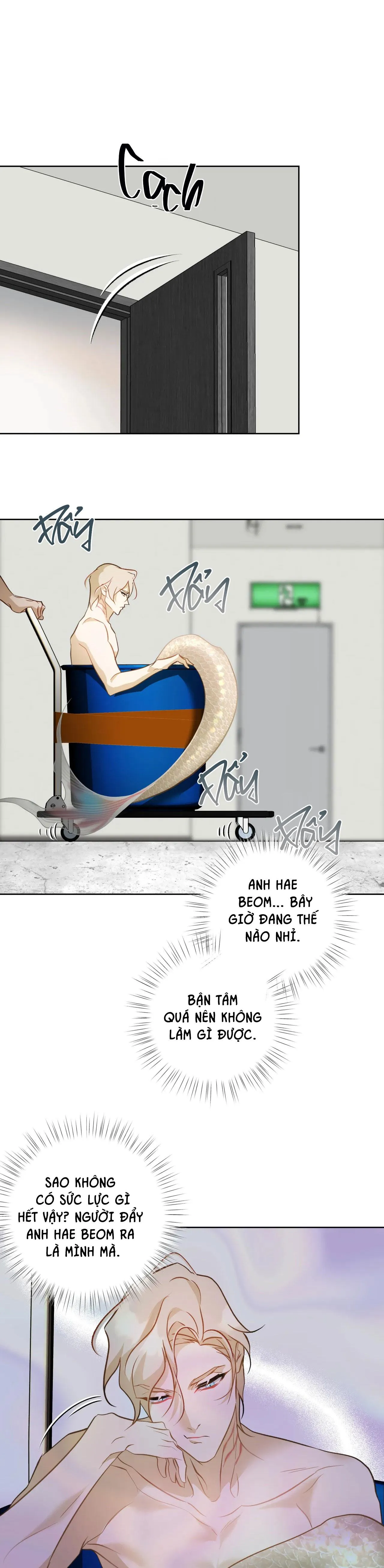 Tình đầu của chủ quán gỏi cá là nhân ngư Chapter 7 Trang 31