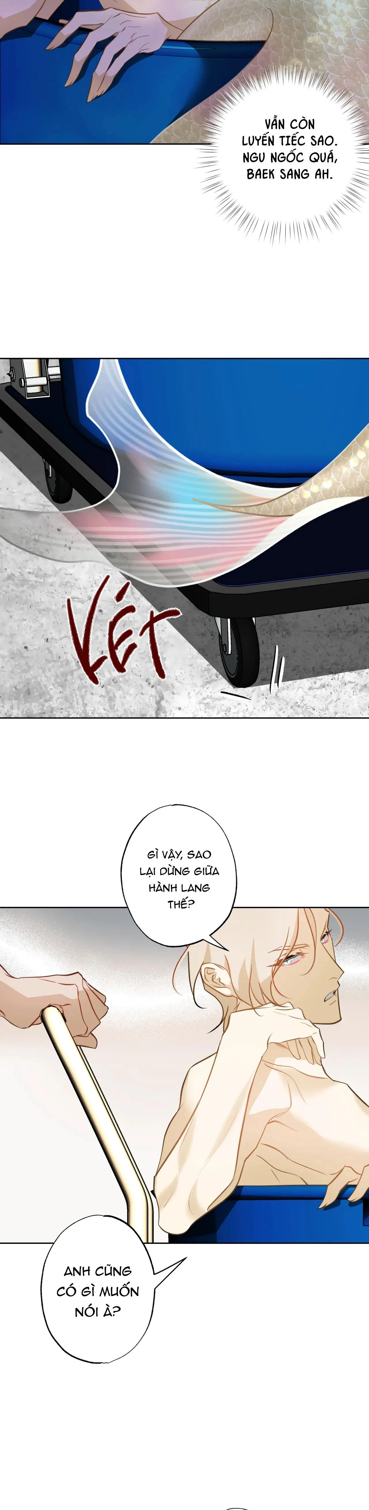 Tình đầu của chủ quán gỏi cá là nhân ngư Chapter 7 Trang 32