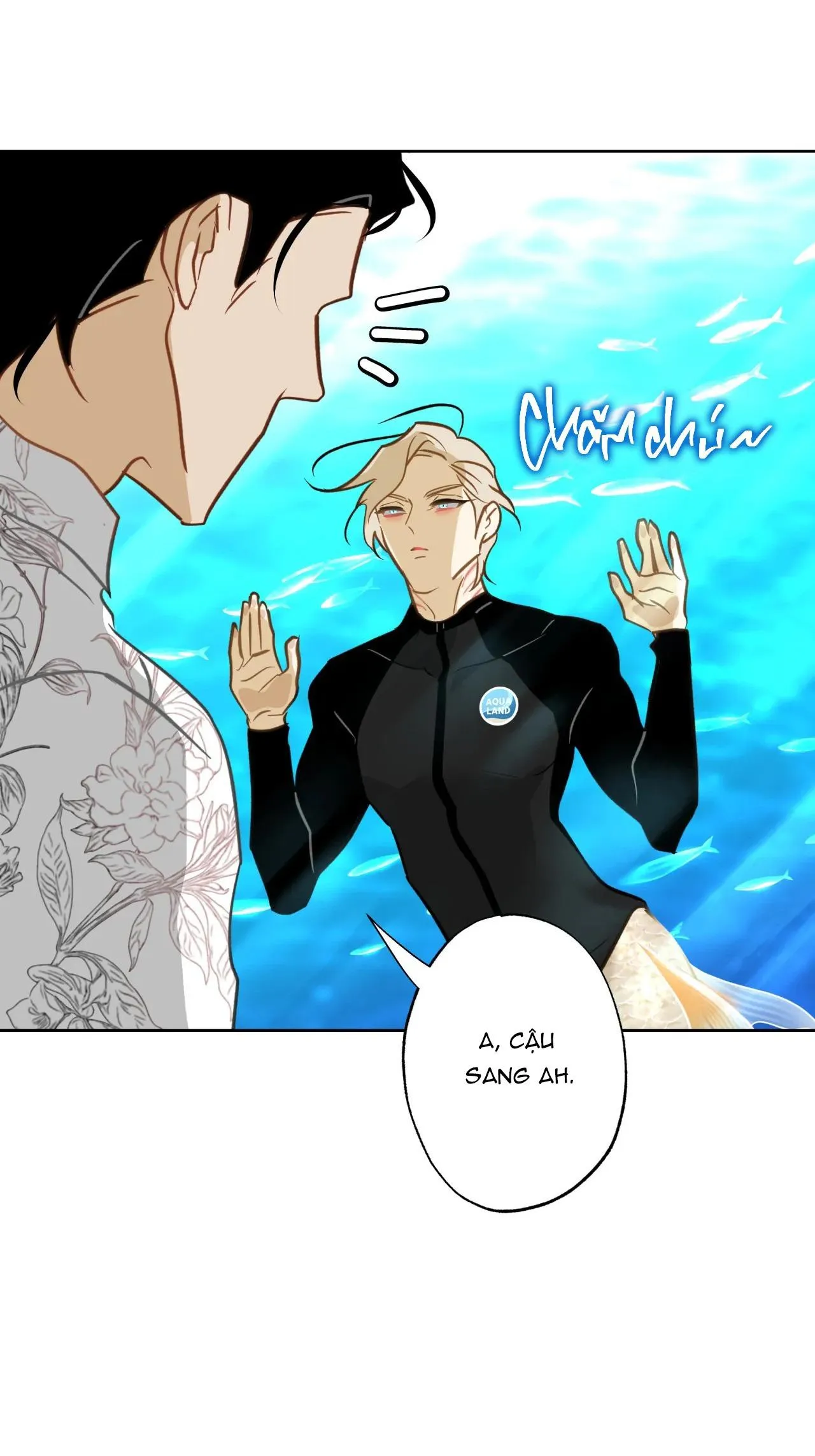 Tình đầu của chủ quán gỏi cá là nhân ngư Chapter 11 Trang 62