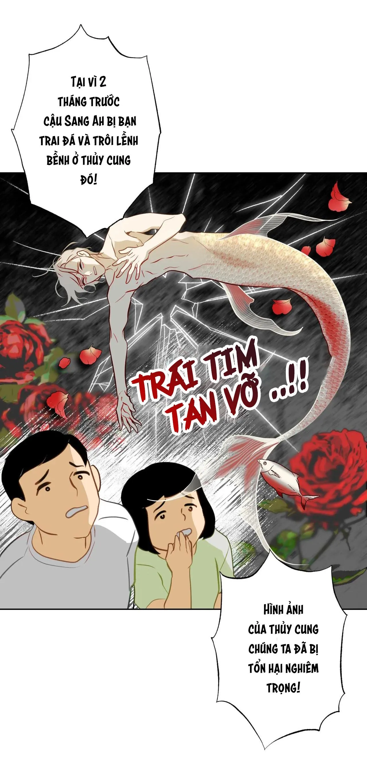 Tình đầu của chủ quán gỏi cá là nhân ngư Chapter 13 Trang 11