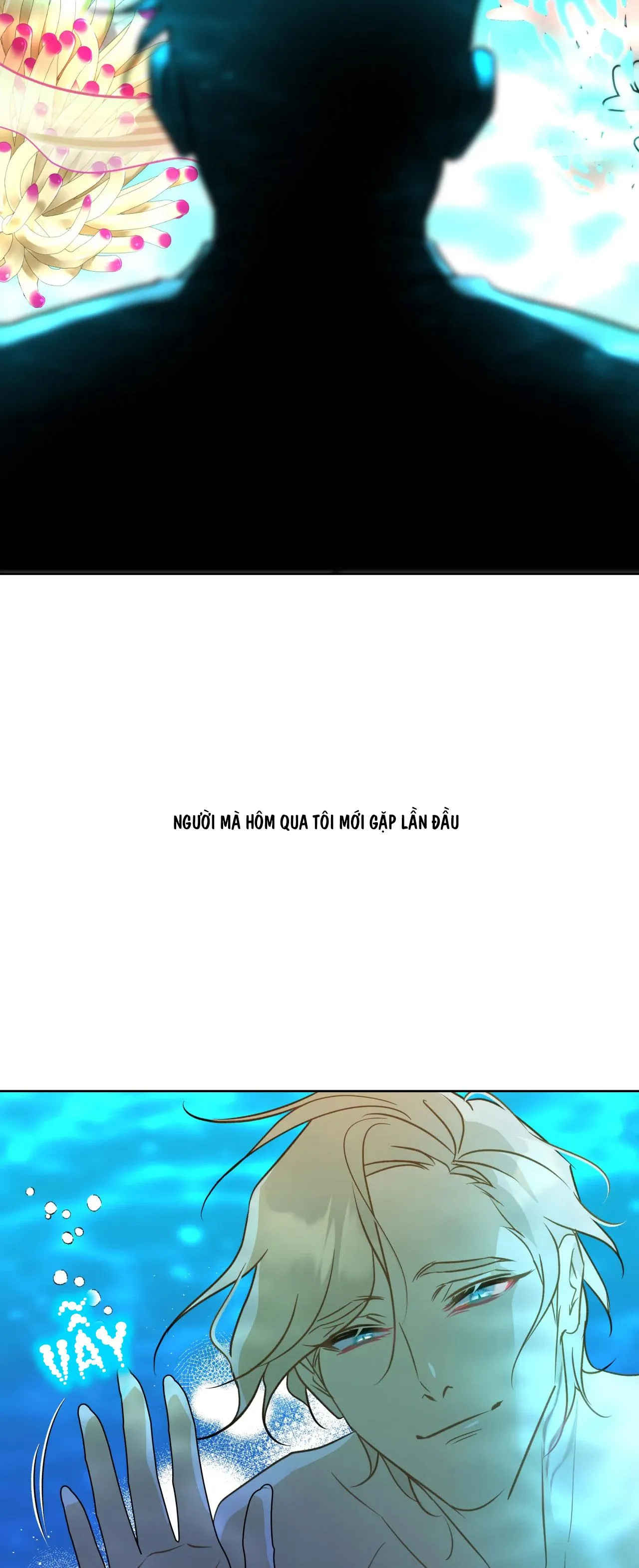 Tình đầu của chủ quán gỏi cá là nhân ngư Chapter 1 Trang 52
