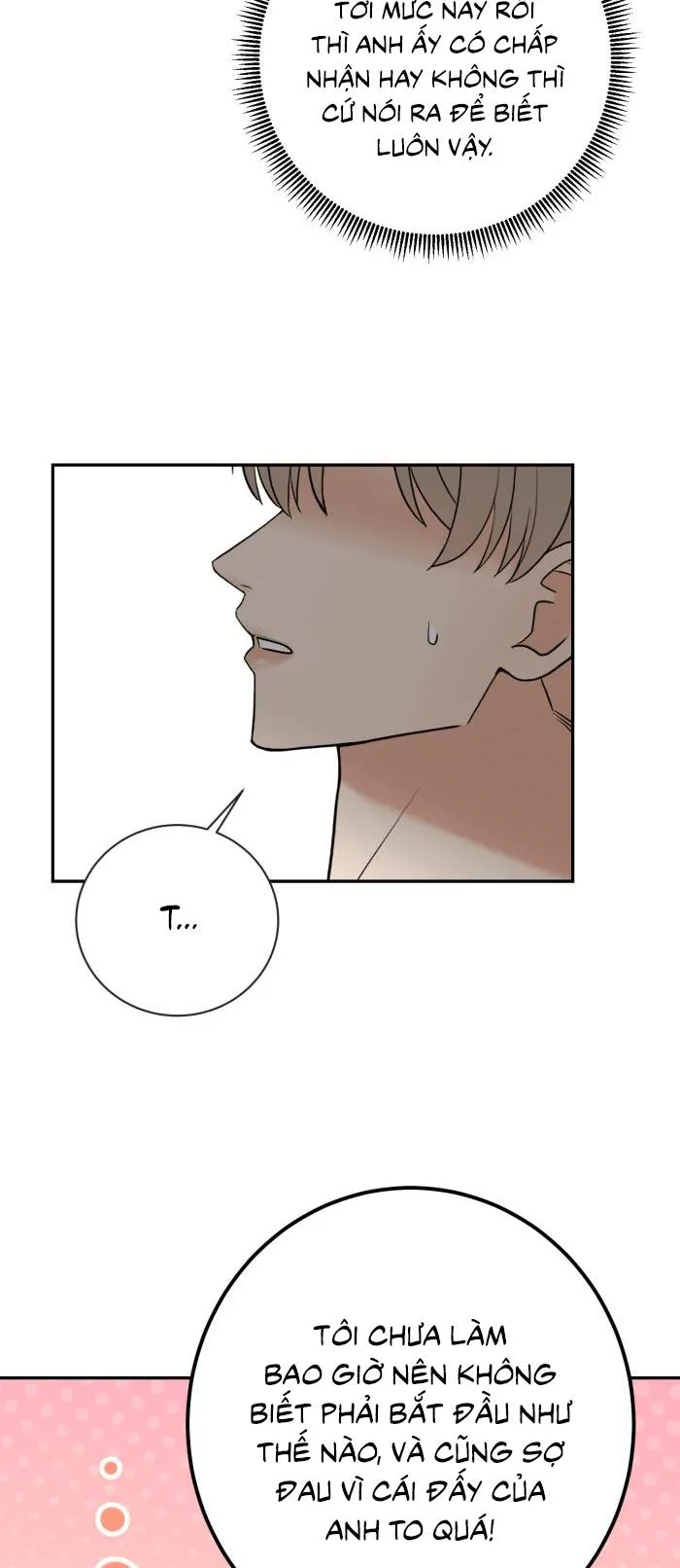 Tỉnh dậy lần nữa bỗng trở thành minh tinh rồi Chapter 28 Trang 23