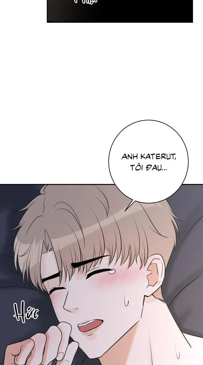 Tỉnh dậy lần nữa bỗng trở thành minh tinh rồi Chapter 28 Trang 35