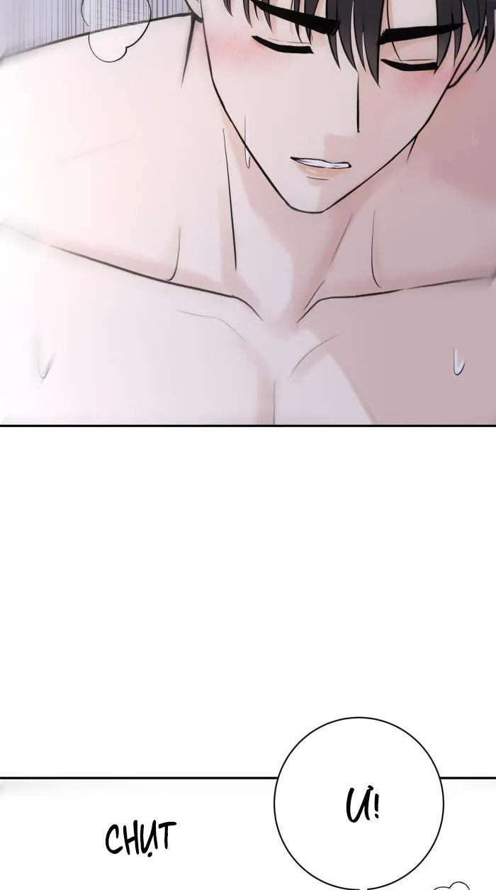 Tỉnh dậy lần nữa bỗng trở thành minh tinh rồi Chapter 28 Trang 37