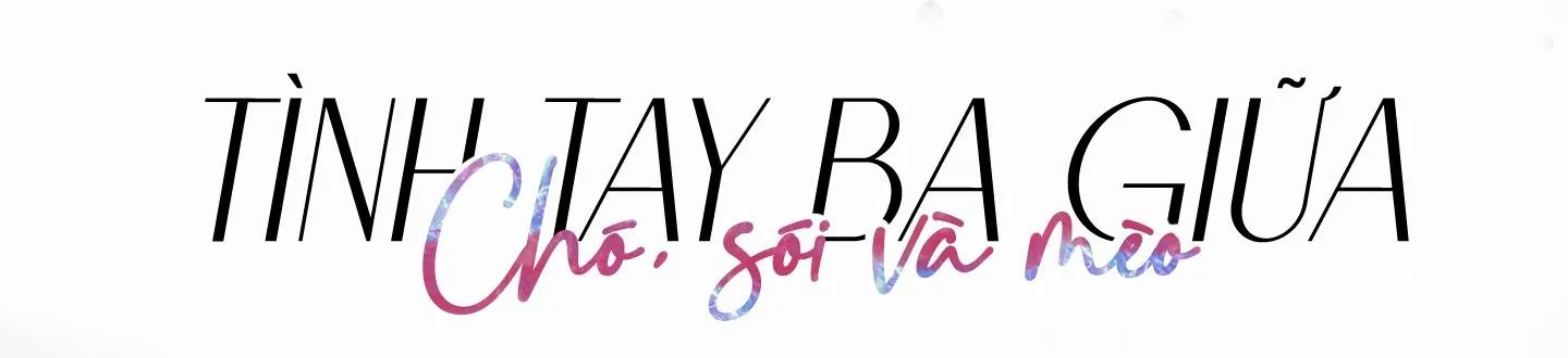 Tình tay ba giữa chó, sói và mèo Chapter 3 Trang 21