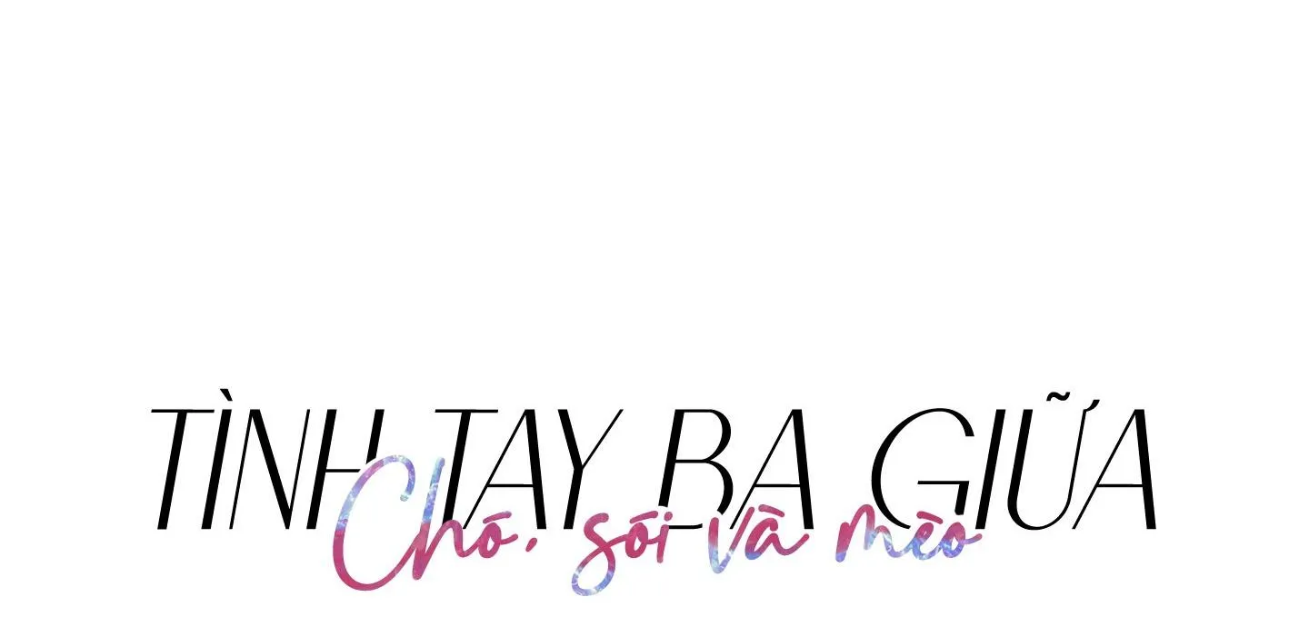 Tình tay ba giữa chó, sói và mèo Chapter 8 Trang 21