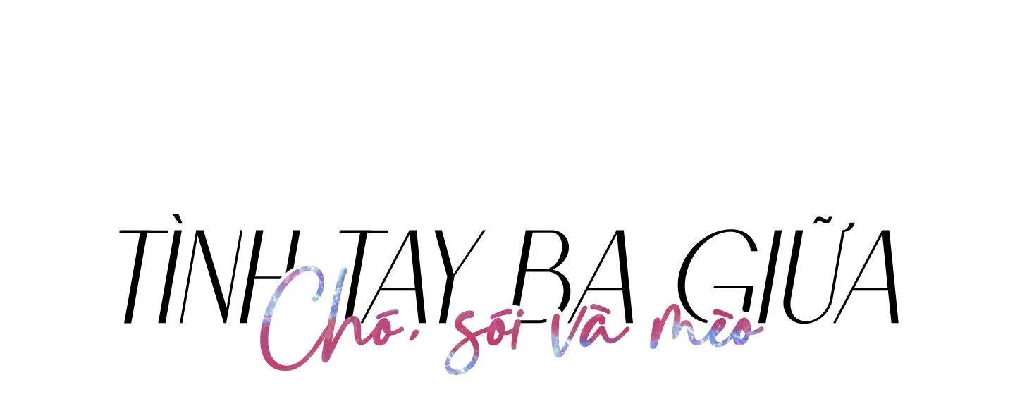 Tình tay ba giữa chó, sói và mèo Chapter 9 Trang 11