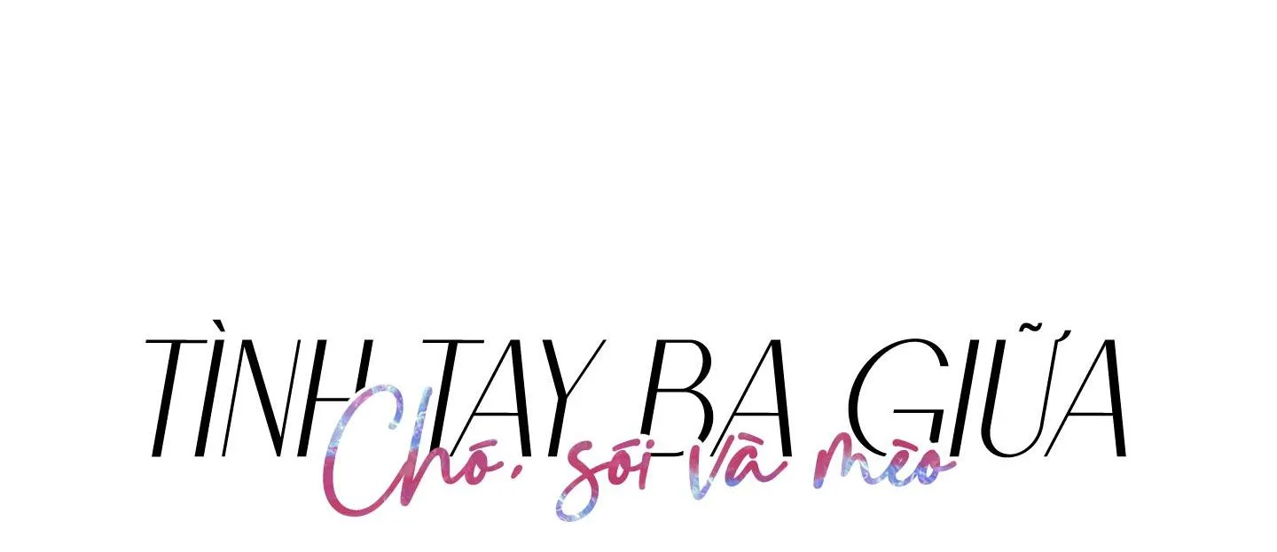 Tình tay ba giữa chó, sói và mèo Chapter 11 Trang 43