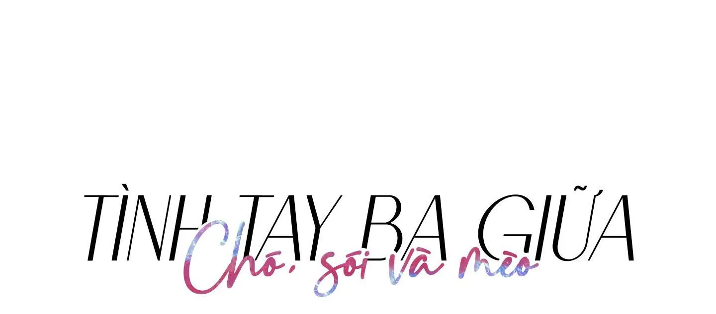 Tình tay ba giữa chó, sói và mèo Chapter 12 Trang 12