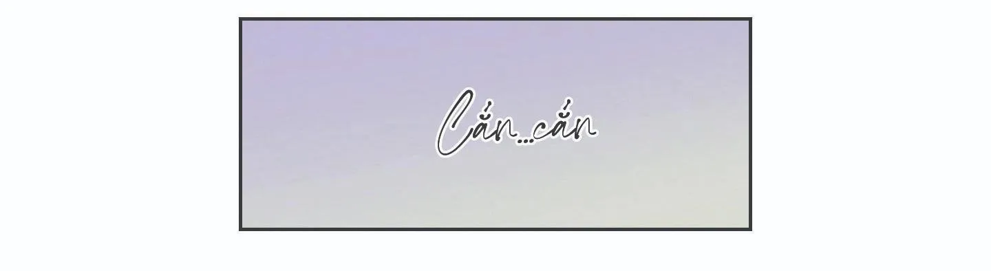 Tình tay ba giữa chó, sói và mèo Chapter 20 Trang 43