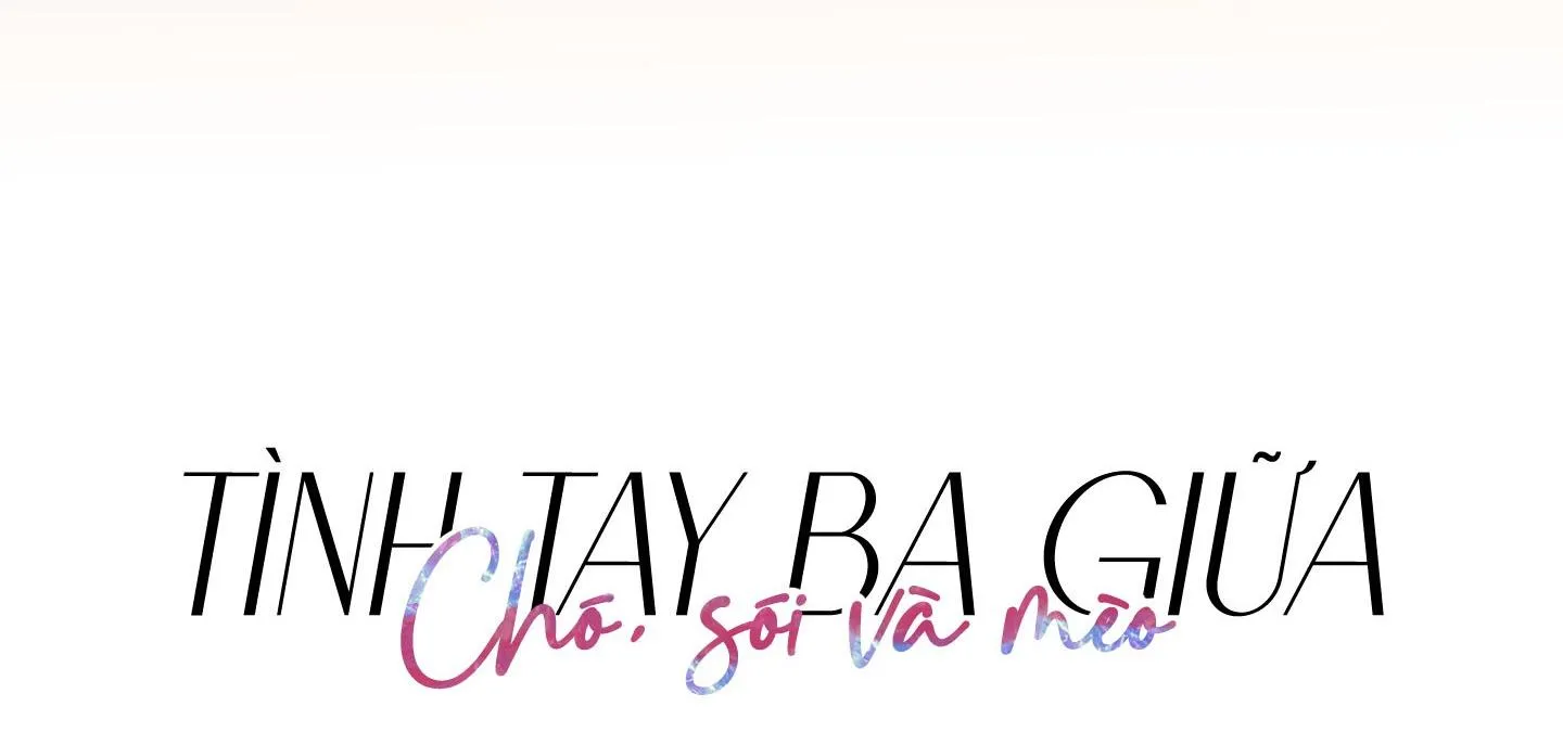 Tình tay ba giữa chó, sói và mèo Chapter 25 Trang 13