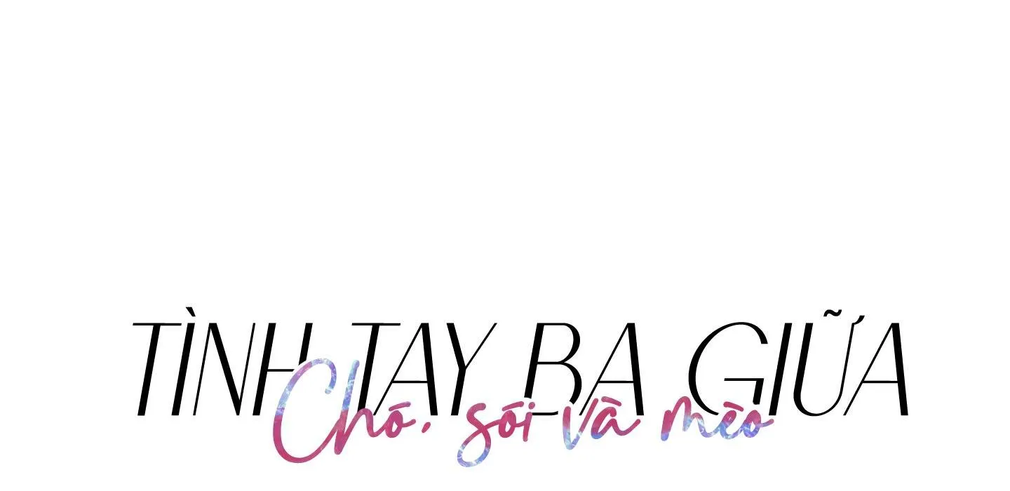 Tình tay ba giữa chó, sói và mèo Chapter 33 Trang 29