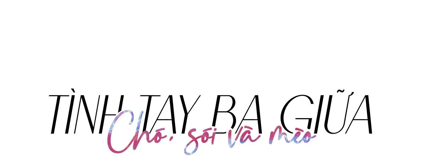 Tình tay ba giữa chó, sói và mèo Chapter 35 Trang 9