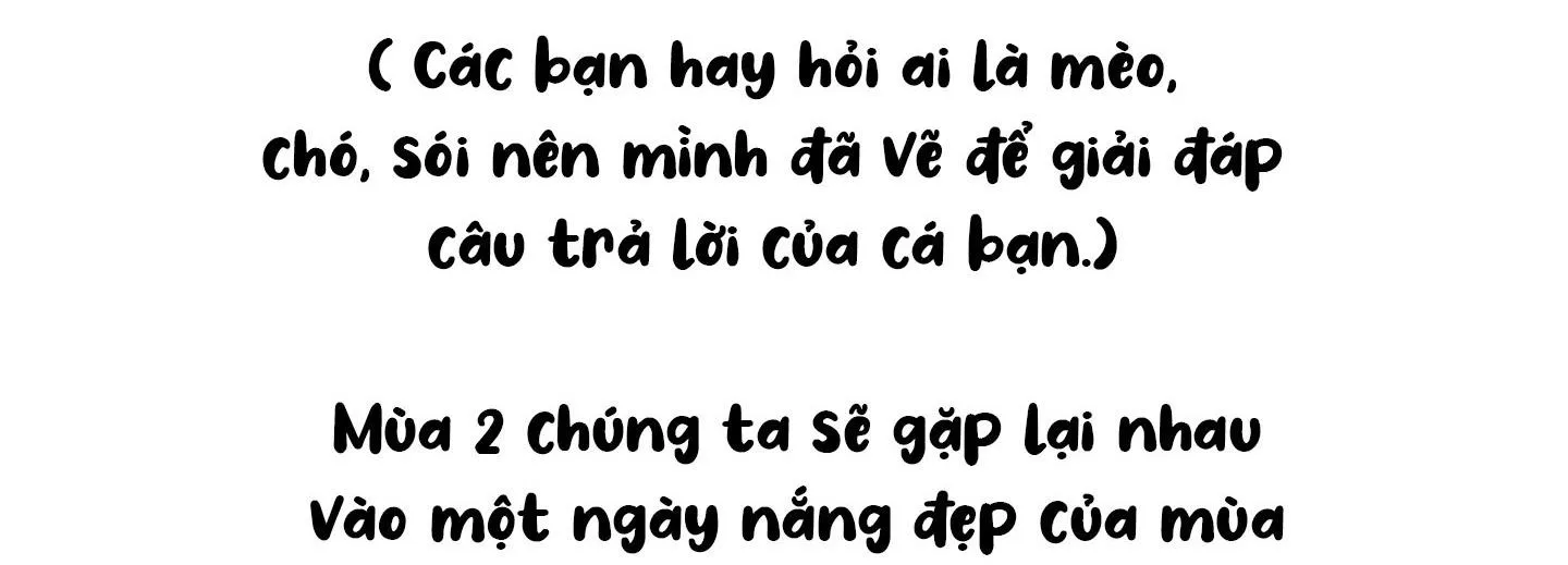 Tình tay ba giữa chó, sói và mèo Chapter 36 Trang 71