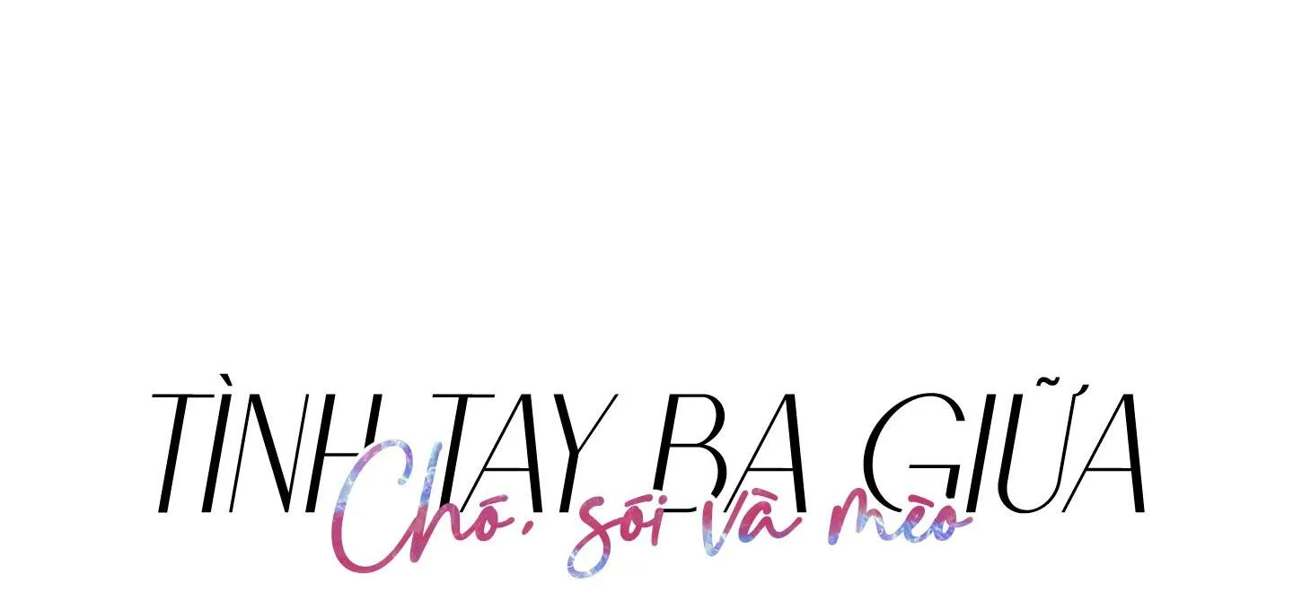 Tình tay ba giữa chó, sói và mèo Chapter 38 Trang 29