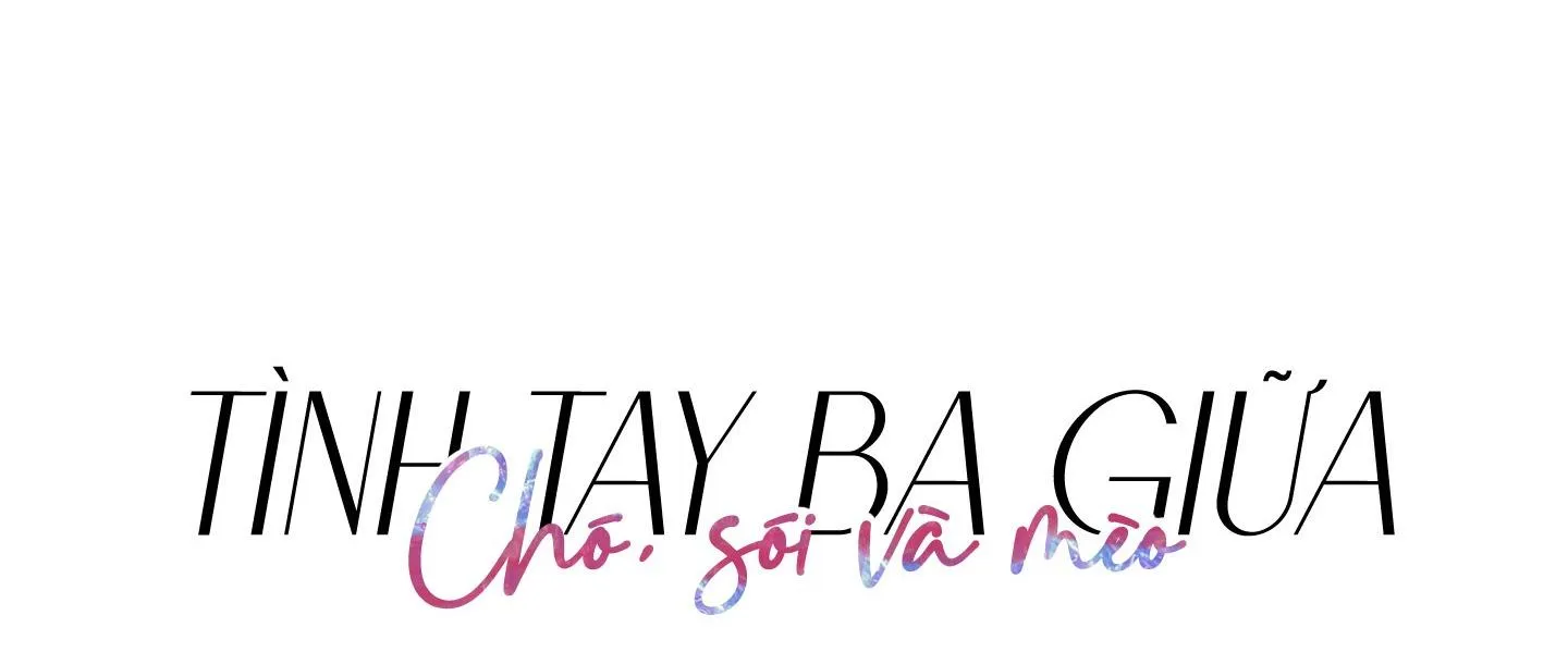 Tình tay ba giữa chó, sói và mèo Chapter 1 Trang 12