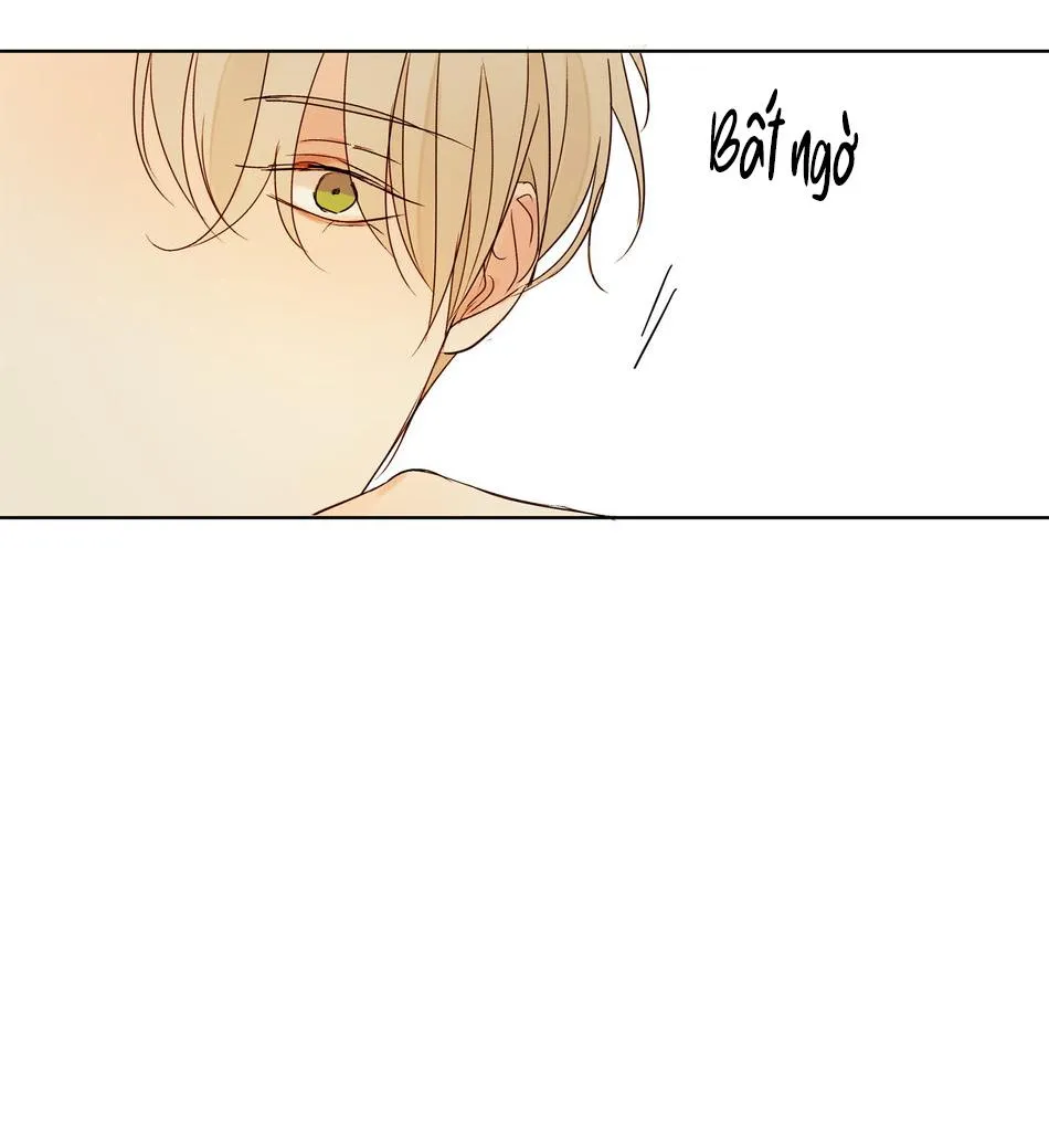 TÌNH TRONG ÁNH MẮT Chapter 2 Trang 57