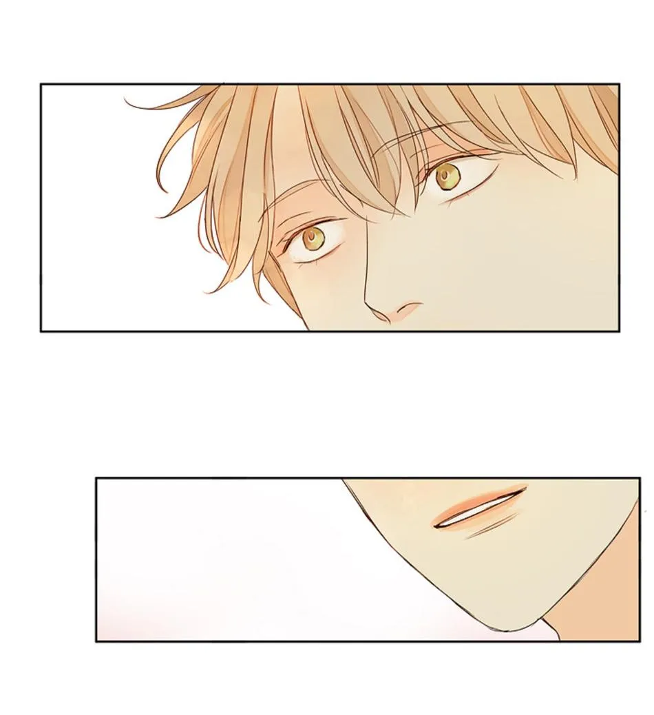 TÌNH TRONG ÁNH MẮT Chapter 4 Trang 52