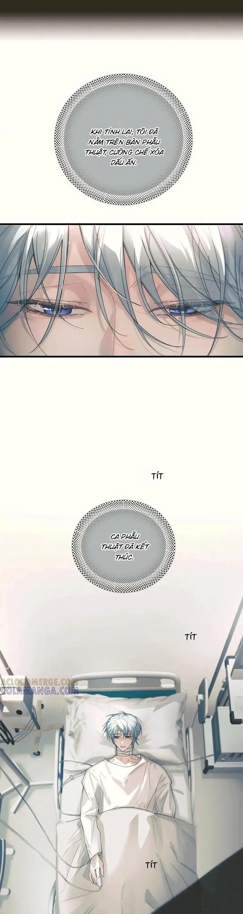 Tinh Vệ Chapter 35 Trang 29