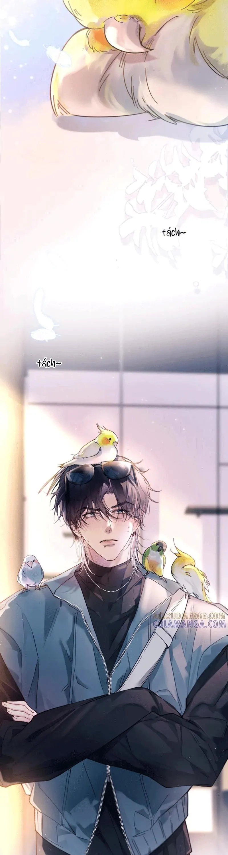 Tinh Vệ Chapter 36 Trang 7