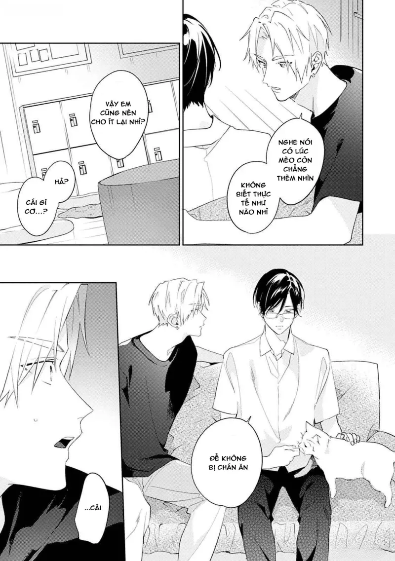 Tình Yêu Bắt Đầu Từ Đầu Lưỡi Chapter 8 Trang 13