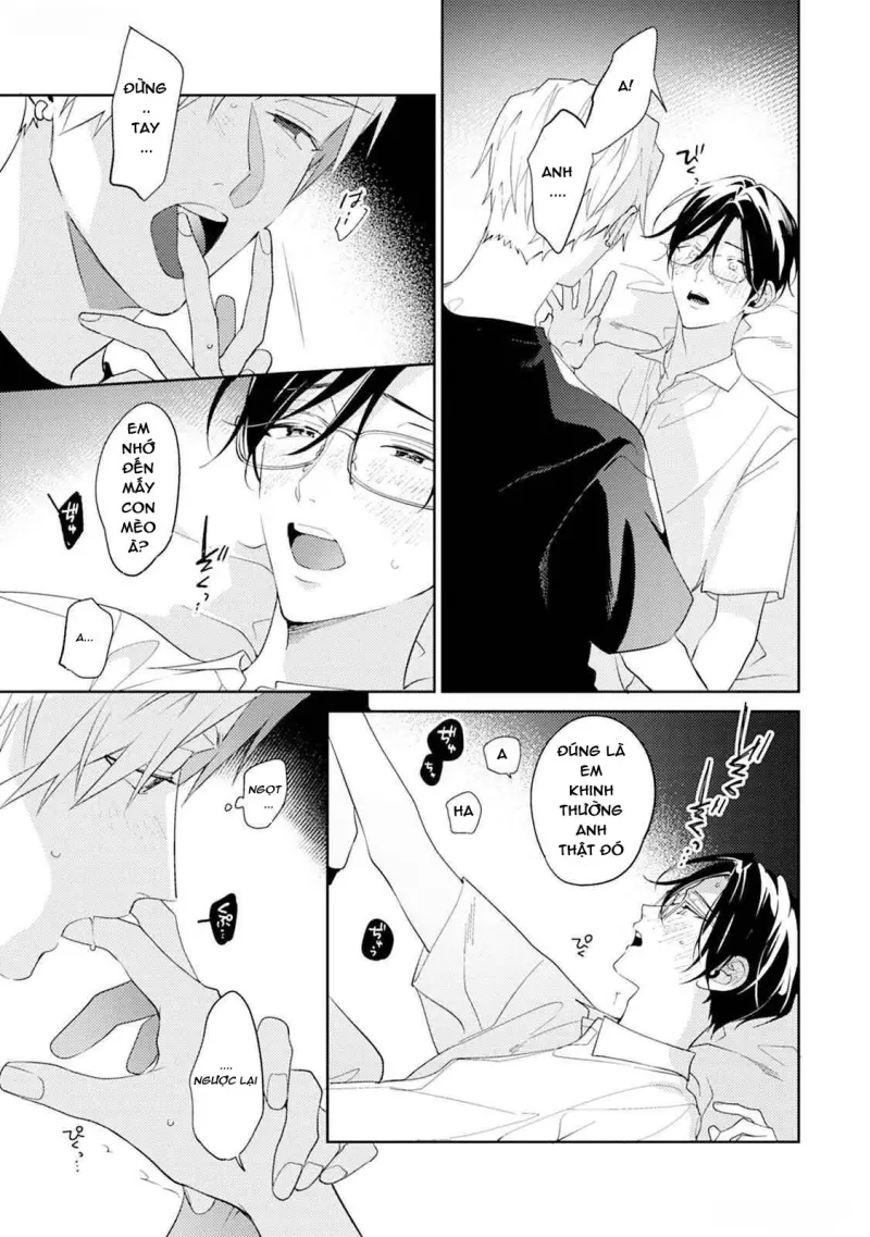 Tình Yêu Bắt Đầu Từ Đầu Lưỡi Chapter 8 Trang 23