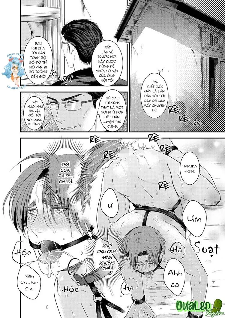 Tình Yêu Bệnh Hoạn Chapter 8 Trang 5