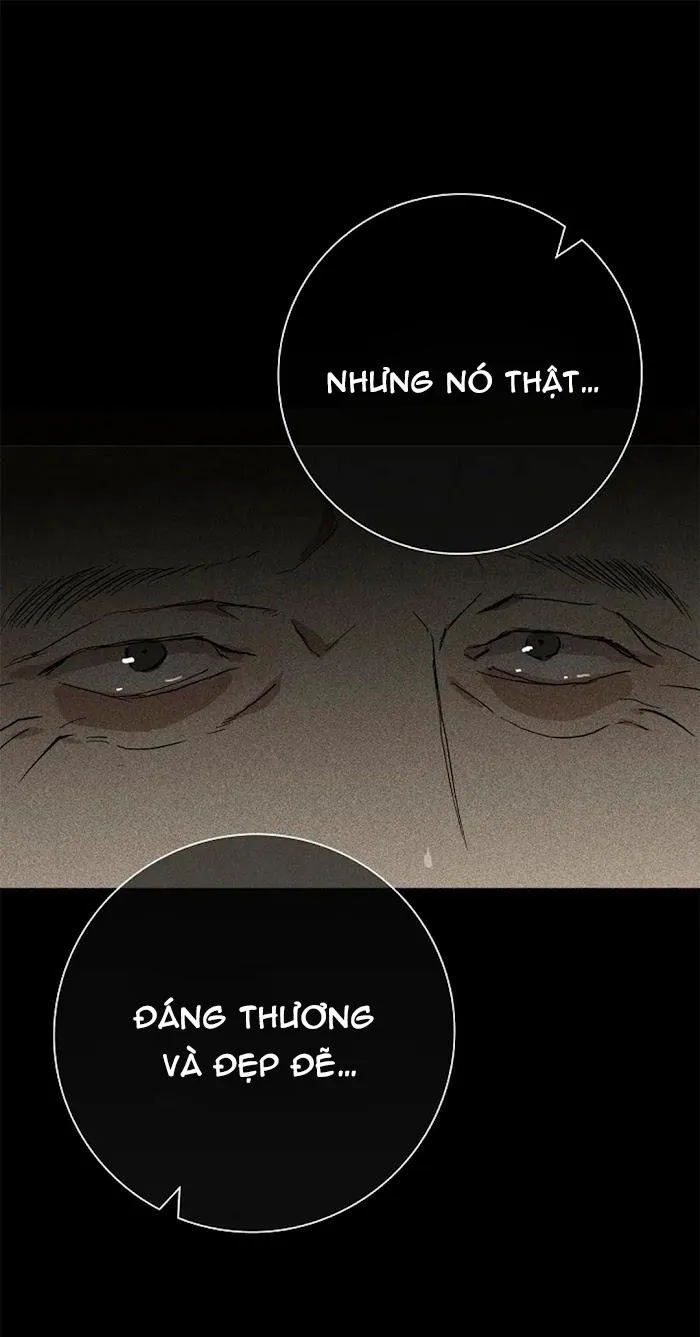 Tình Yêu Bị Bỏ Lỡ: Người Đàn Ông Đã Kết Hôn Chapter 5 Trang 17