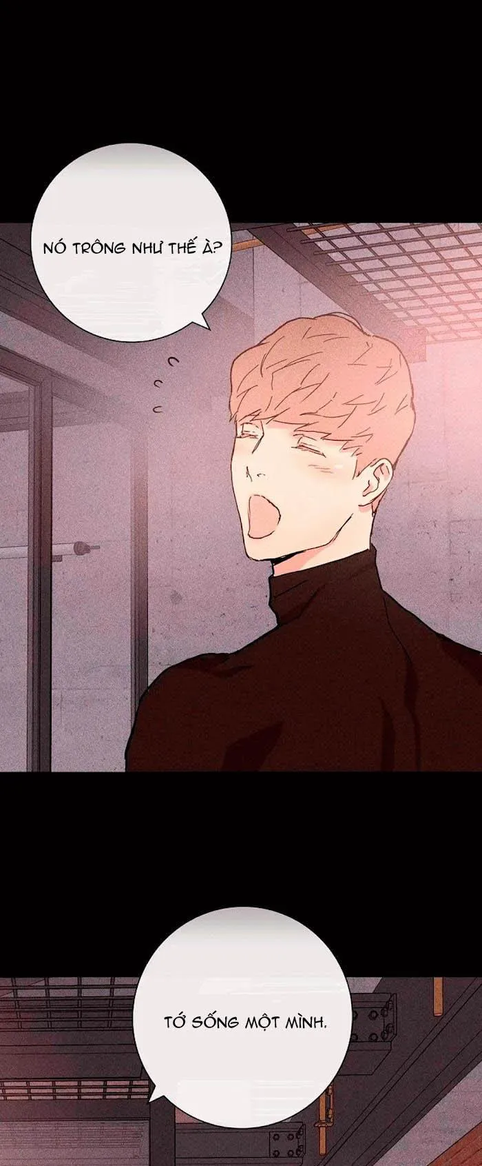 Tình Yêu Bị Bỏ Lỡ: Người Đàn Ông Đã Kết Hôn Chapter 7 Trang 5