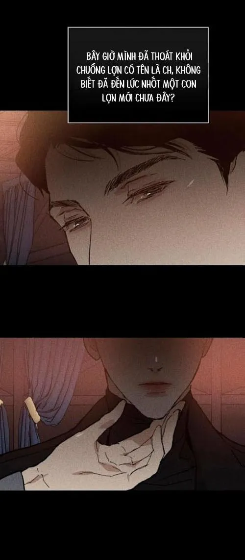 Tình Yêu Bị Bỏ Lỡ: Người Đàn Ông Đã Kết Hôn Chapter 8 Trang 36